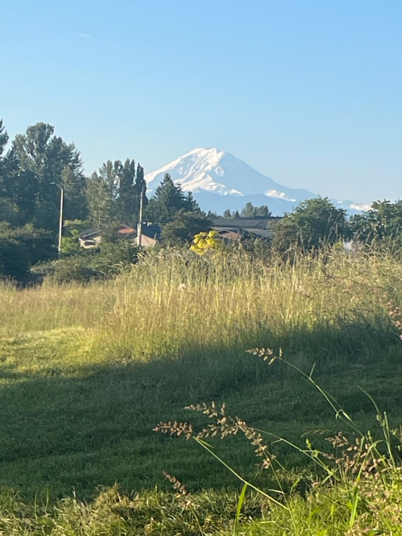 walking near me in Clark Lake Park in winter