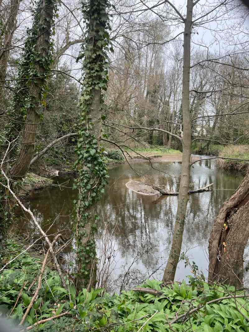 walking near me in Walton Park in spring