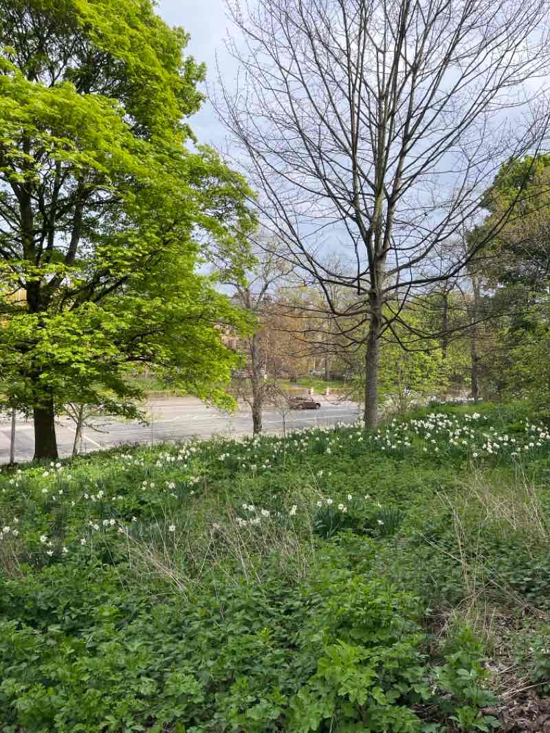 walking near me in Regent Road Park in spring