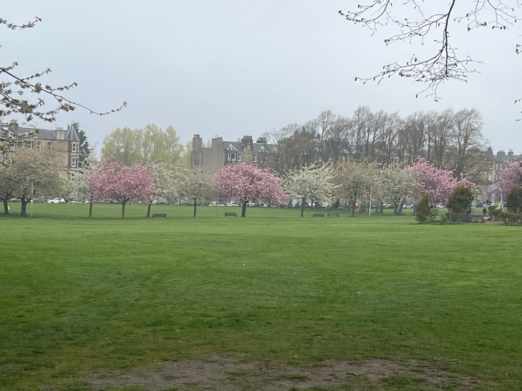 walking near me in Harrison Park West in spring