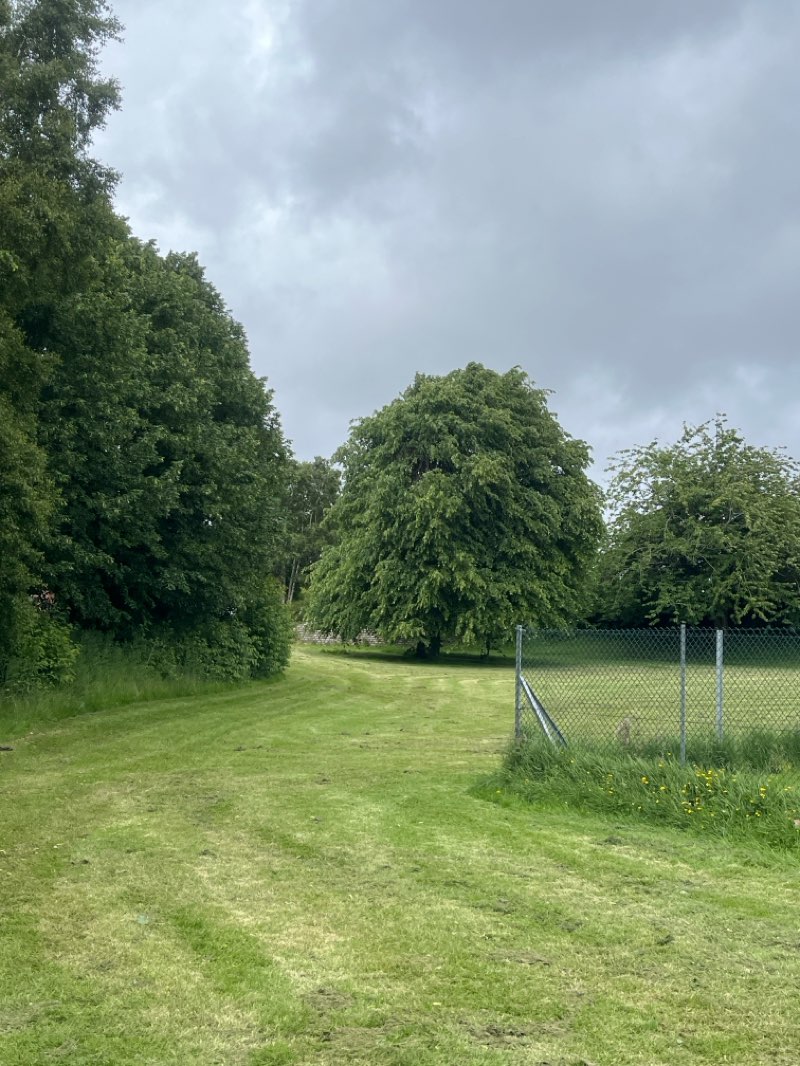 walking near me in East End Park in summer