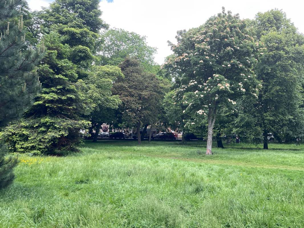 walking near me in West Princes Street Gardens in summer