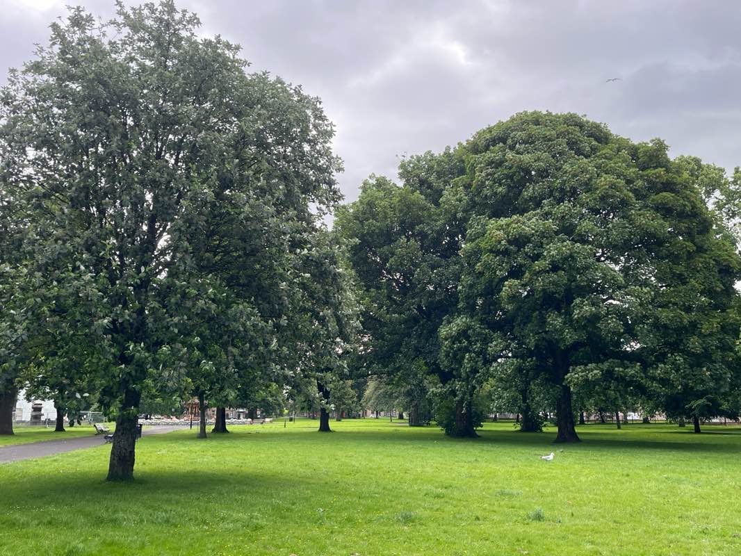 walking near me in Fountain Gardens in summer