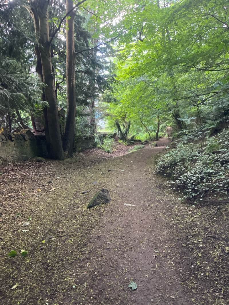 walking near me in Easter Craiglockhart Hill Local Nature Reserve in summer