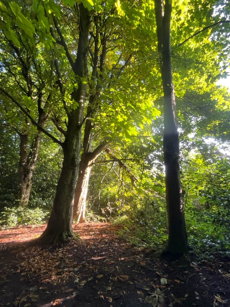 walking near me in Easter Craiglockhart Hill Local Nature Reserve in summer