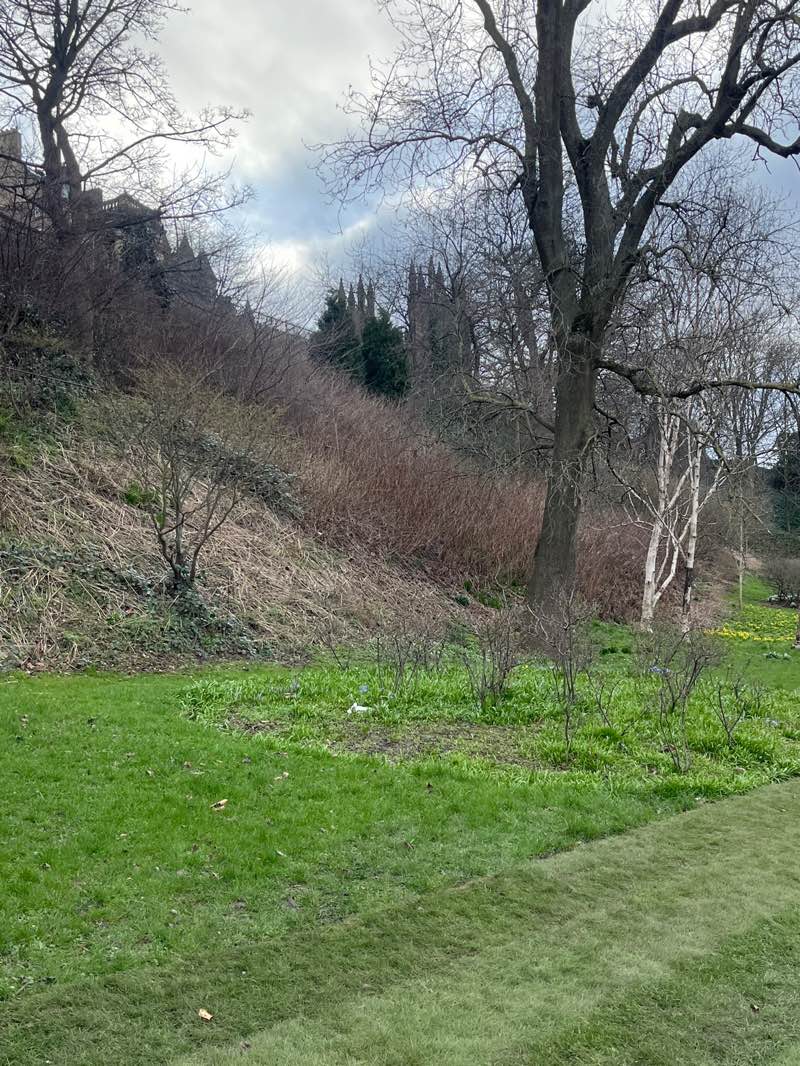 walking near me in East Princes Street Gardens in spring