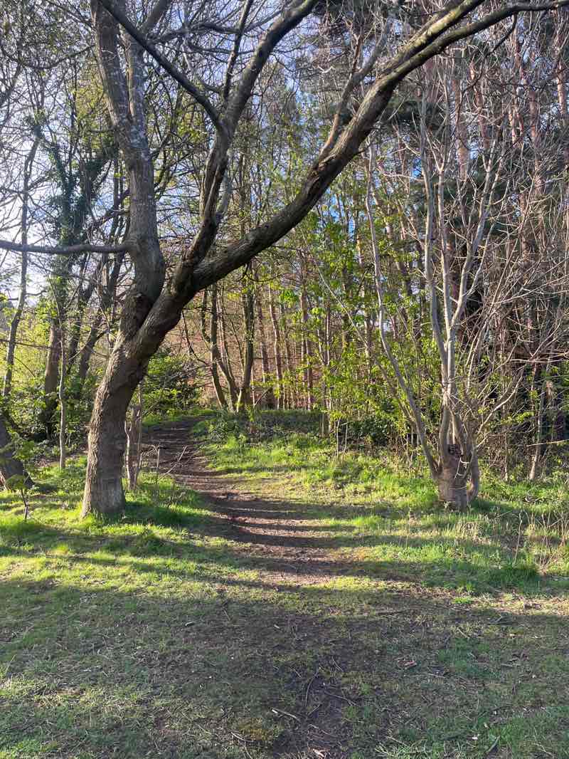 walking near me in Easter Craiglockhart Hill Local Nature Reserve in spring