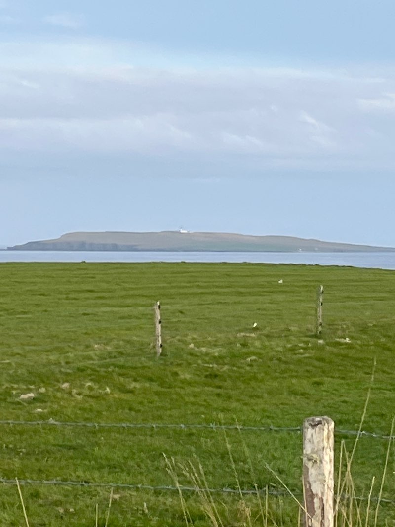 walking near me in Mull Head Local Nature Reserve in summer