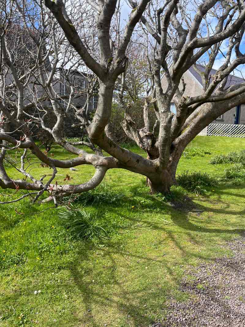 walking near me in Fraser Park in spring