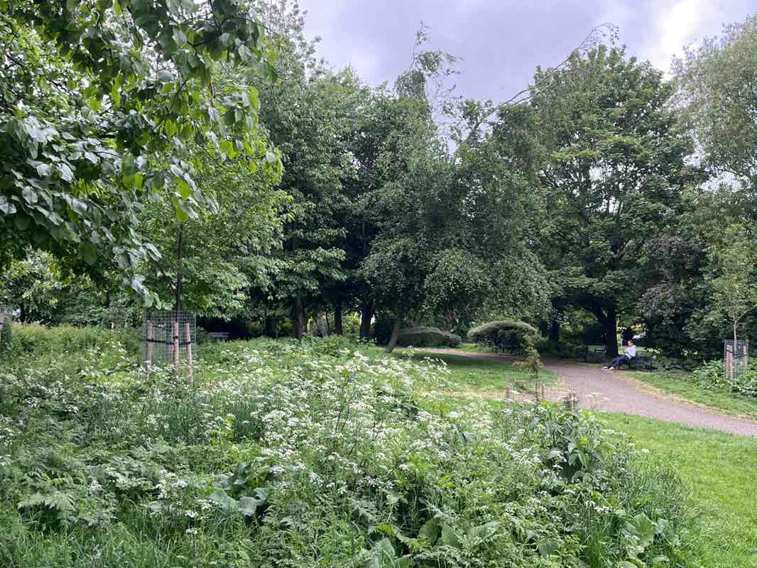walking near me in King George V Park in summer