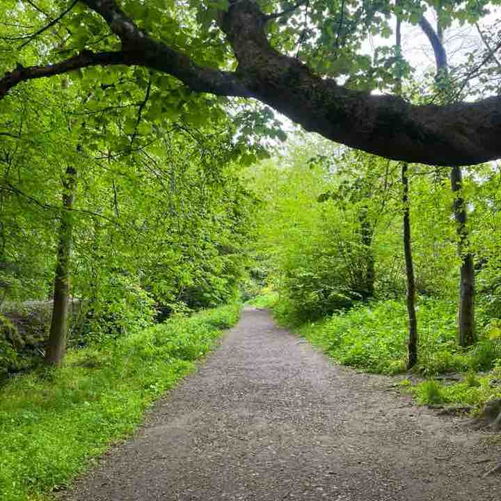 12susankane post 2