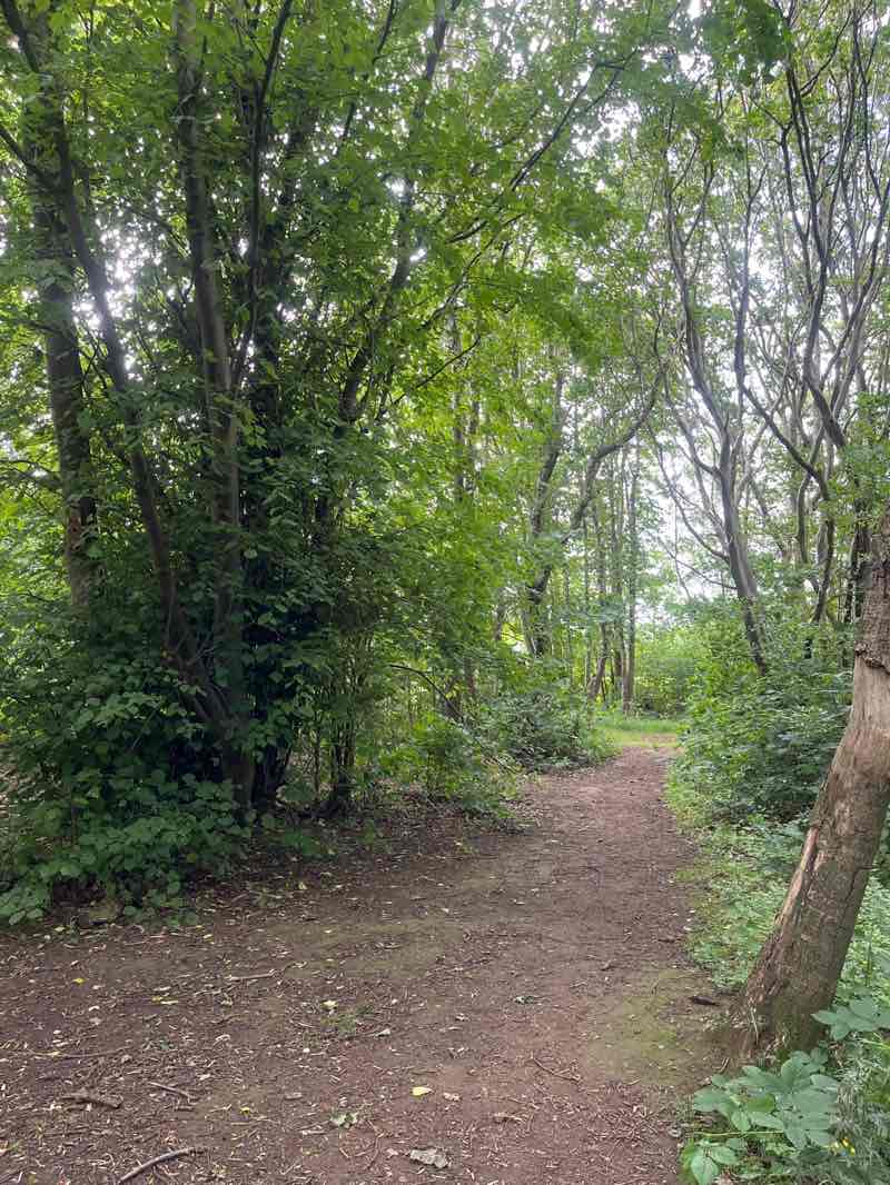 walking near me in Bilston Burn Park in summer
