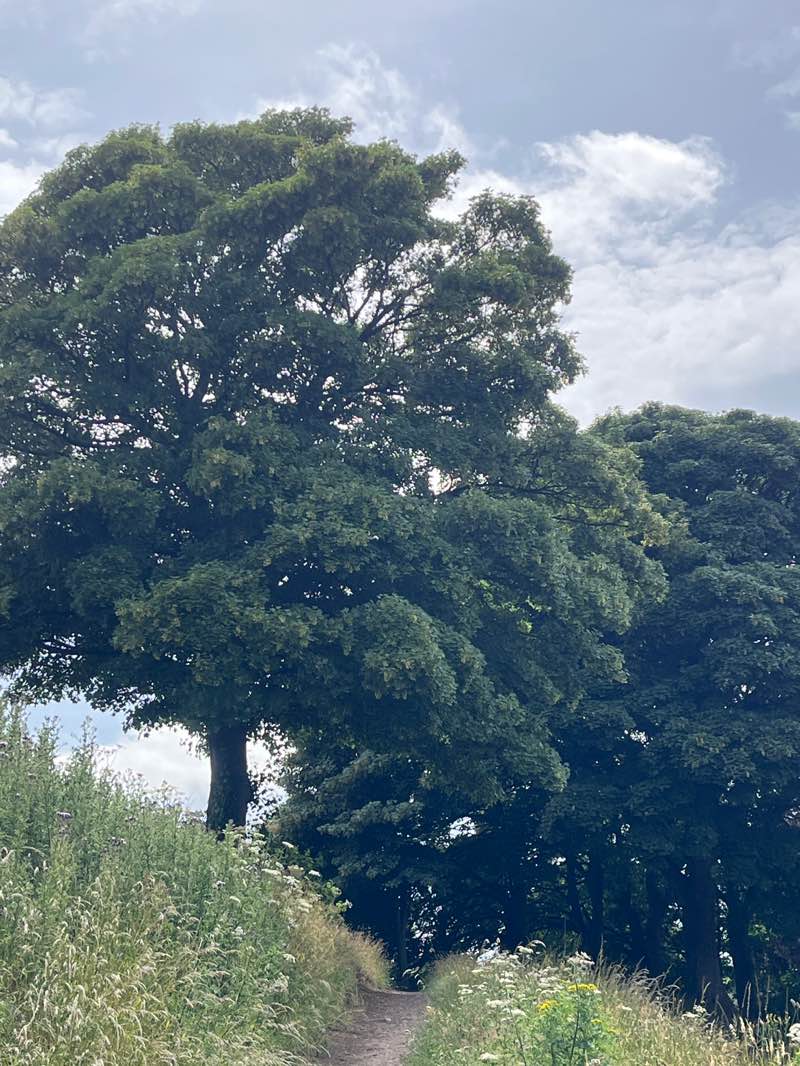 walking near me in Moat Hill in summer