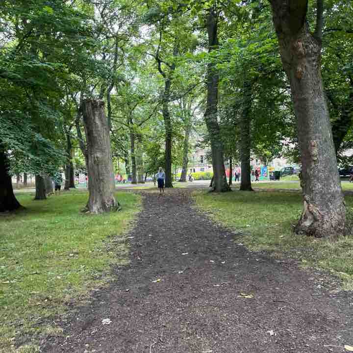 12susankane post 1