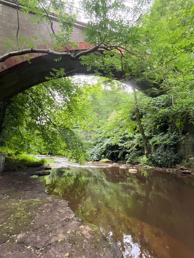 walking near me in Ironmills Park in summer