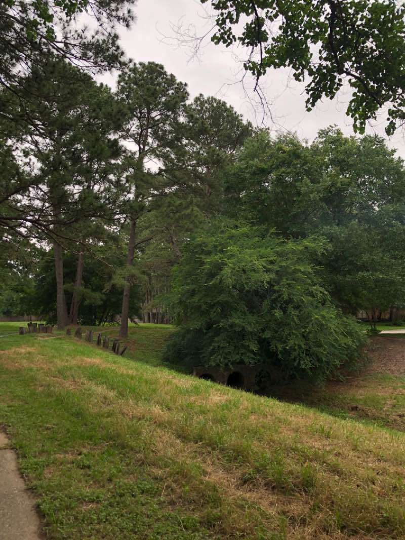 walking near me in Ridgewood Park in spring