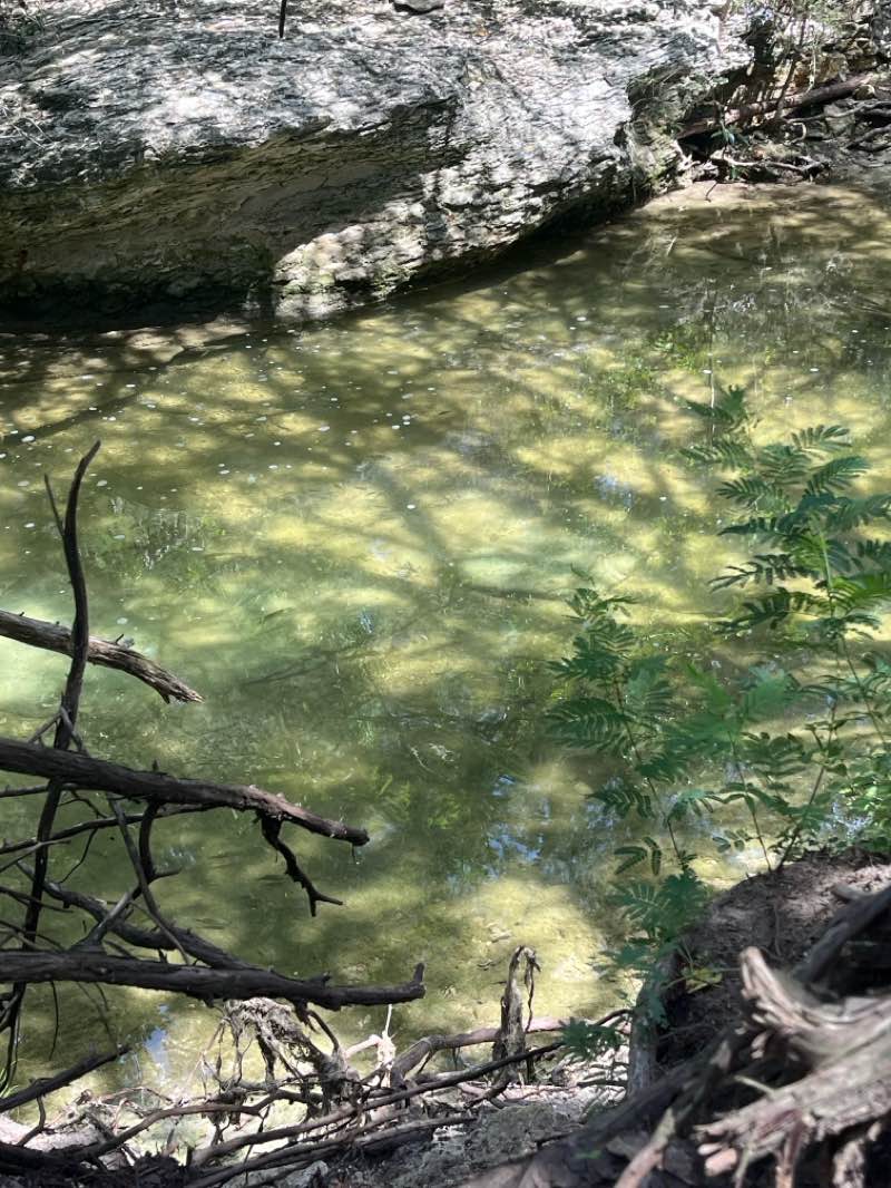 walking near me in Walnut Creek Metropolitan Park in summer