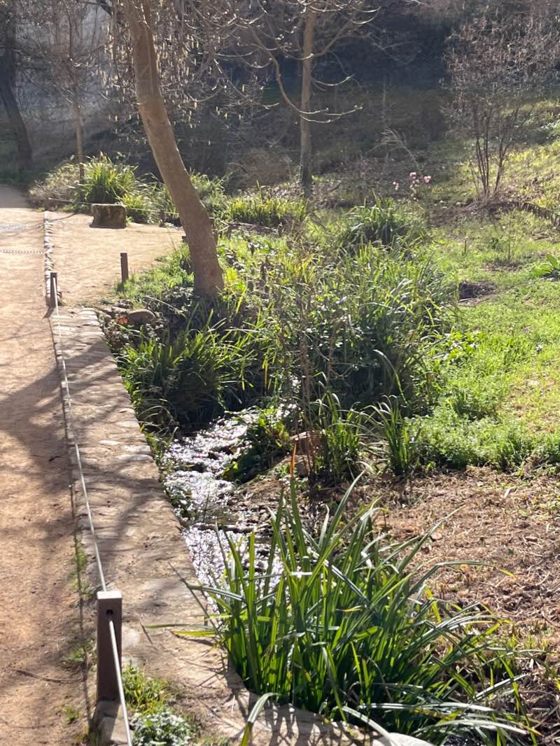 walking near me in Jardines del Salón in winter