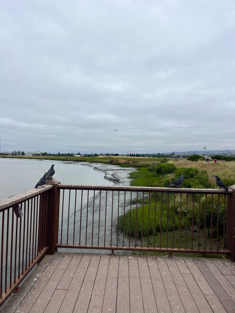 walking near me in Shollenberger Park in winter