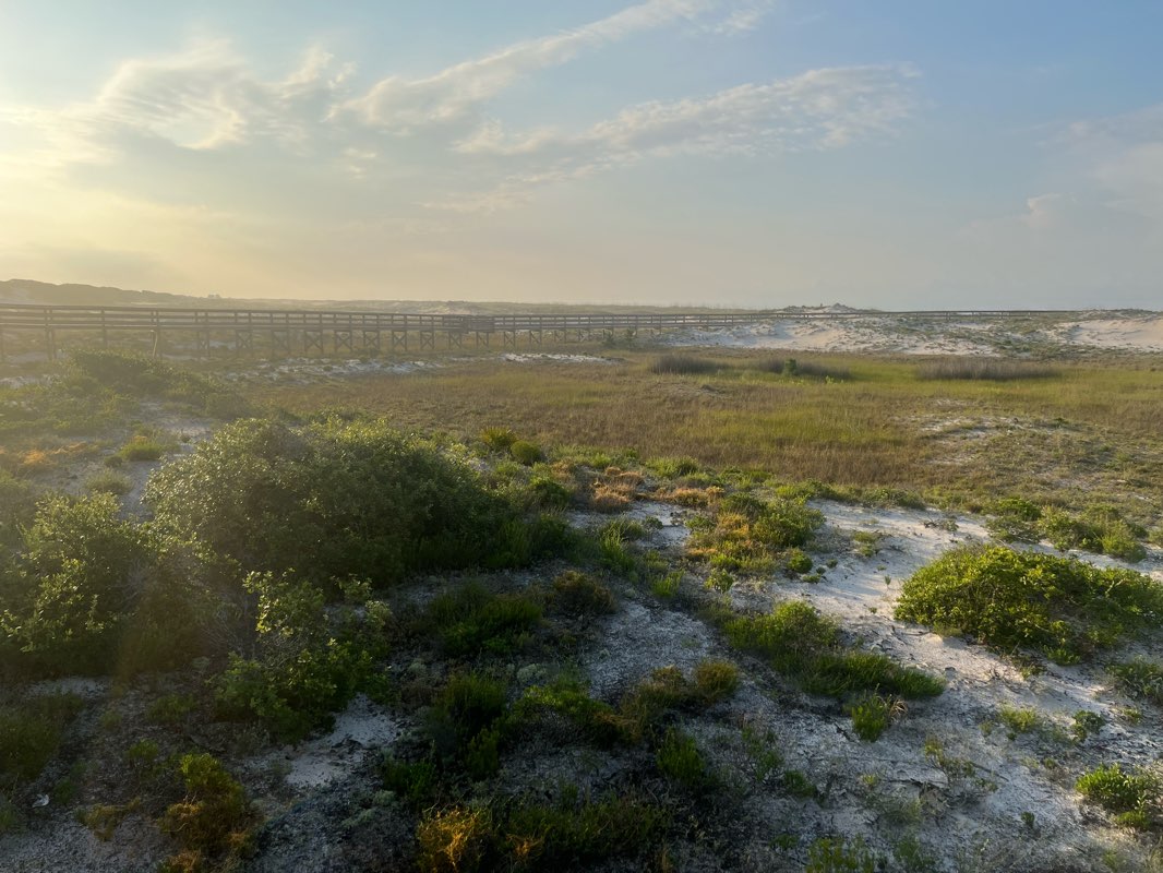 walking near me in Bon Secour National Wildlife Refuge in winter