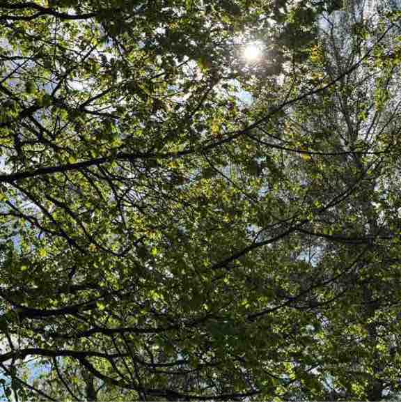 ❤️‍🔥ОгОсьКа❤️‍🔥 ❤️‍🔥Катька Levi❤️‍🔥 post image