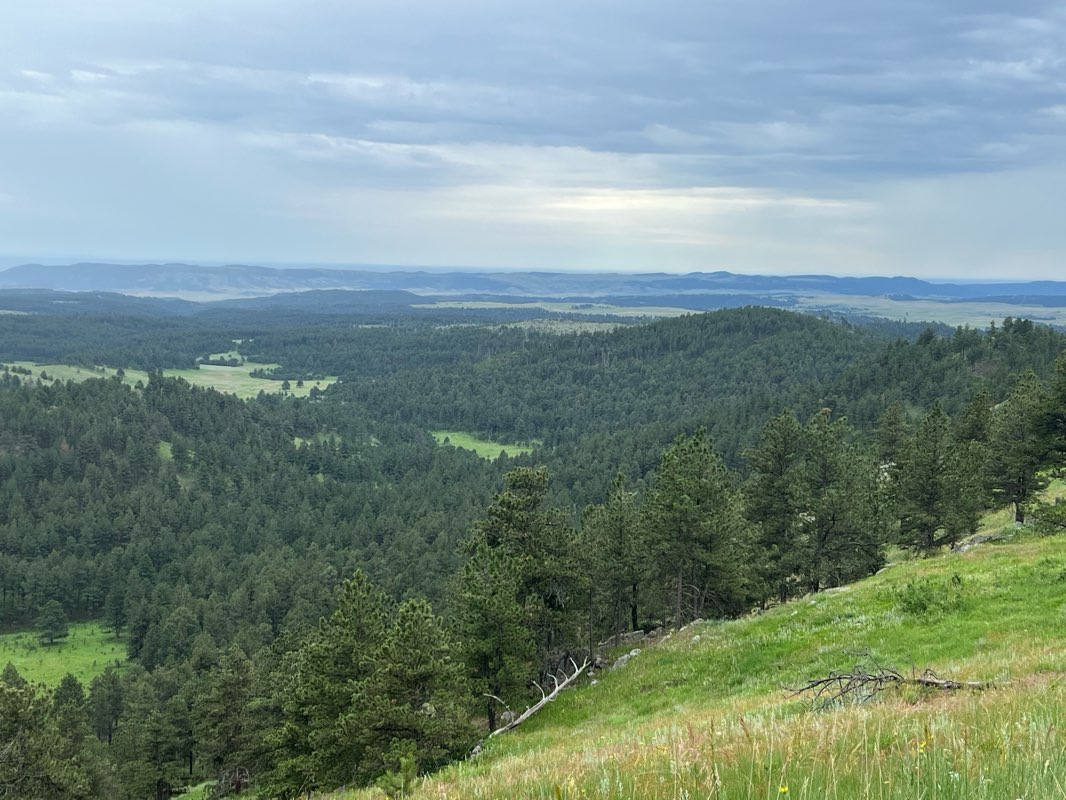 walking near me in Wind Cave National Park in summer