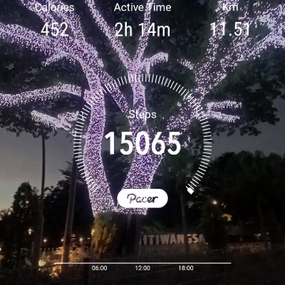 Walkabout✨ Fizul Razalan post image