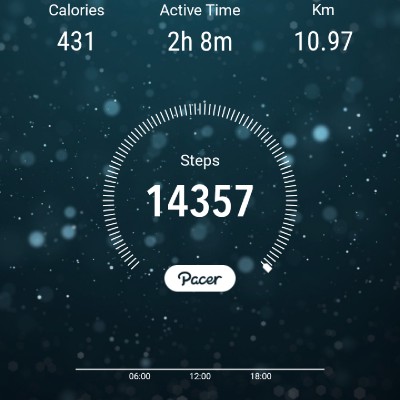 The walkers Fizul Razalan post image