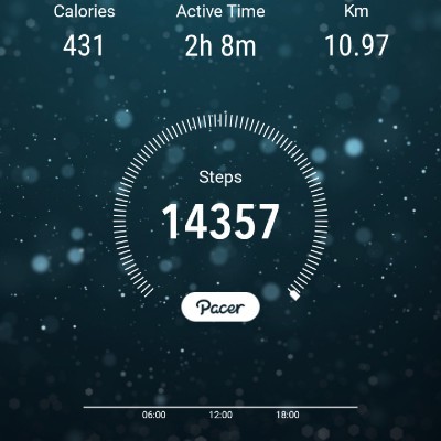 10000 Langkah Harian 🚶🚶‍♀️ Fizul Razalan post image