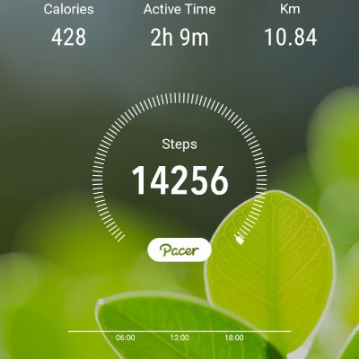 Walkabout✨ Fizul Razalan post image