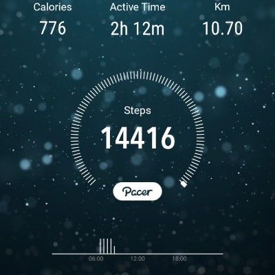 walk and have a blast π― Fizul Razalan post image