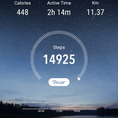 The walkers Fizul Razalan post image