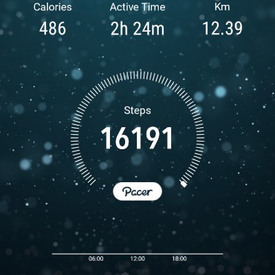 10000 Langkah Harian 🚶🚶‍♀️ Fizul Razalan post image