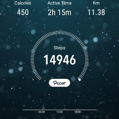 10000 Langkah Harian 🚶🚶‍♀️ Fizul Razalan post image