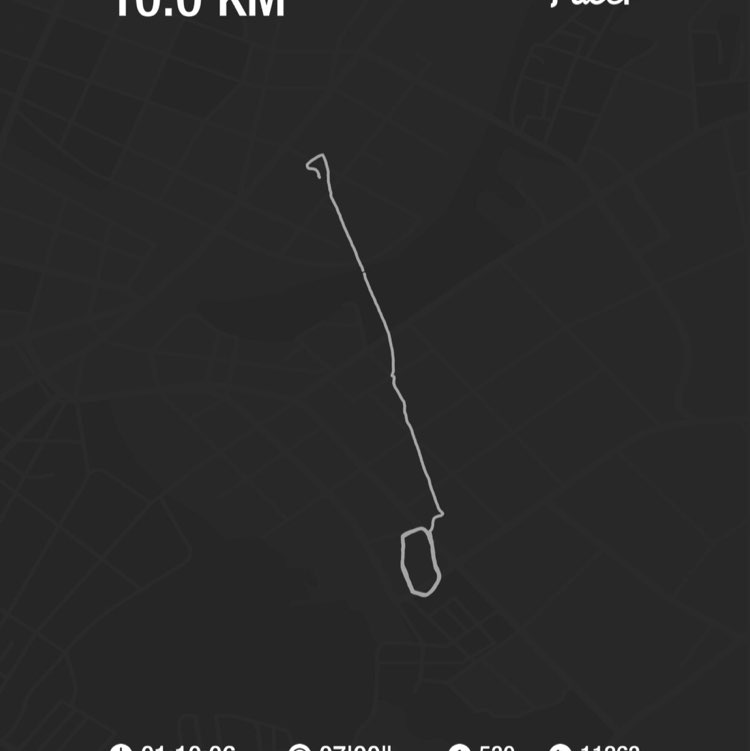 Precica Binghay post 1