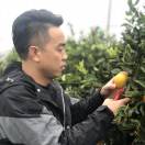 伊果&大同小异13826992099