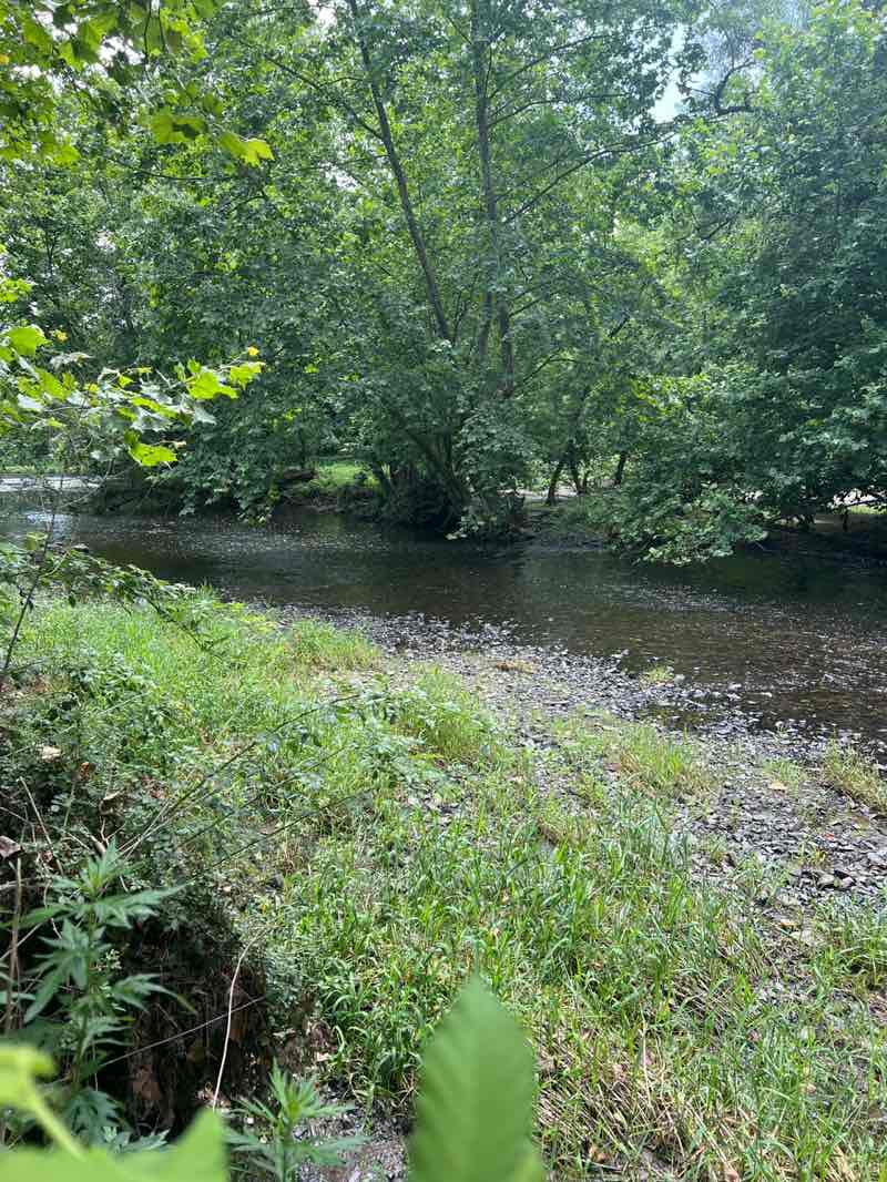 walking near me in Bridge Point Park in summer