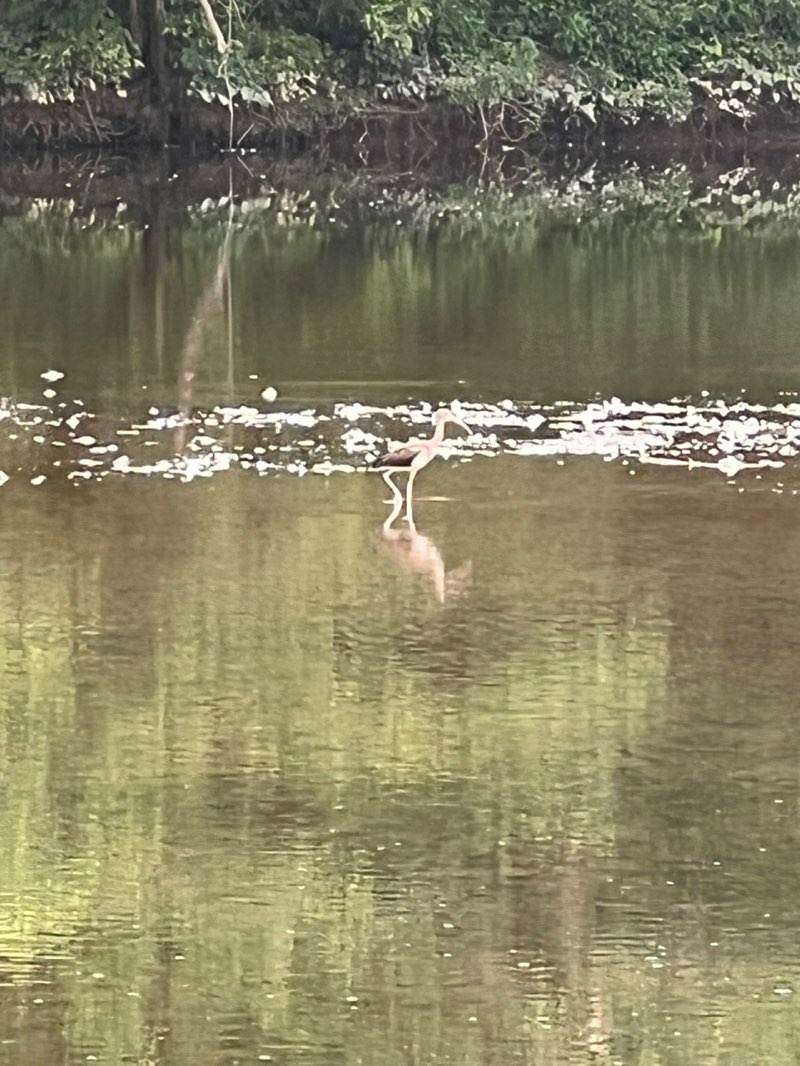 walking near me in Lower Perkiomen Valley Park in autumn