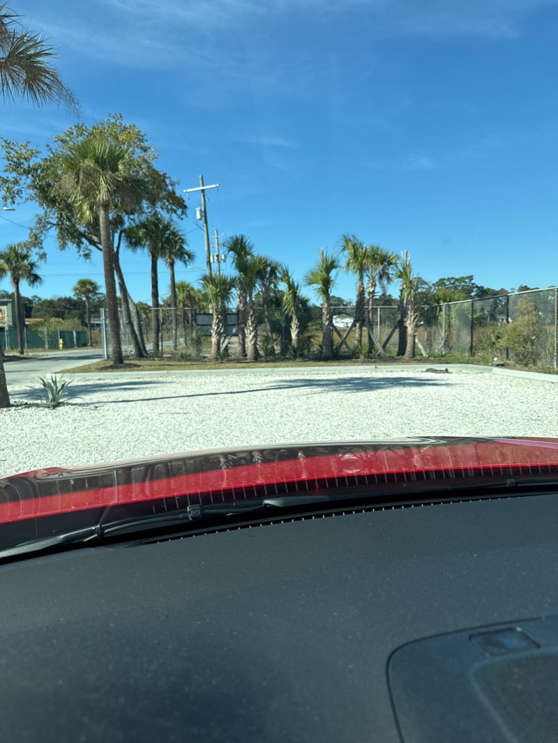 walking near me in W.E. Honey Park in autumn