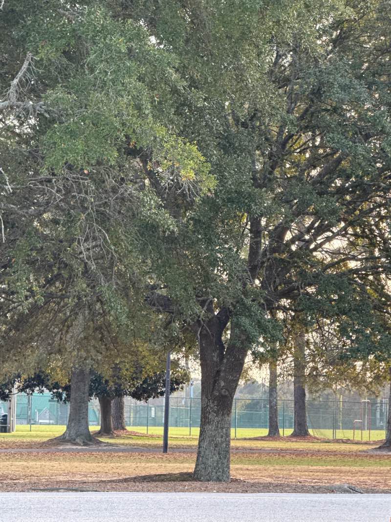 walking near me in Mill Creek Park in autumn