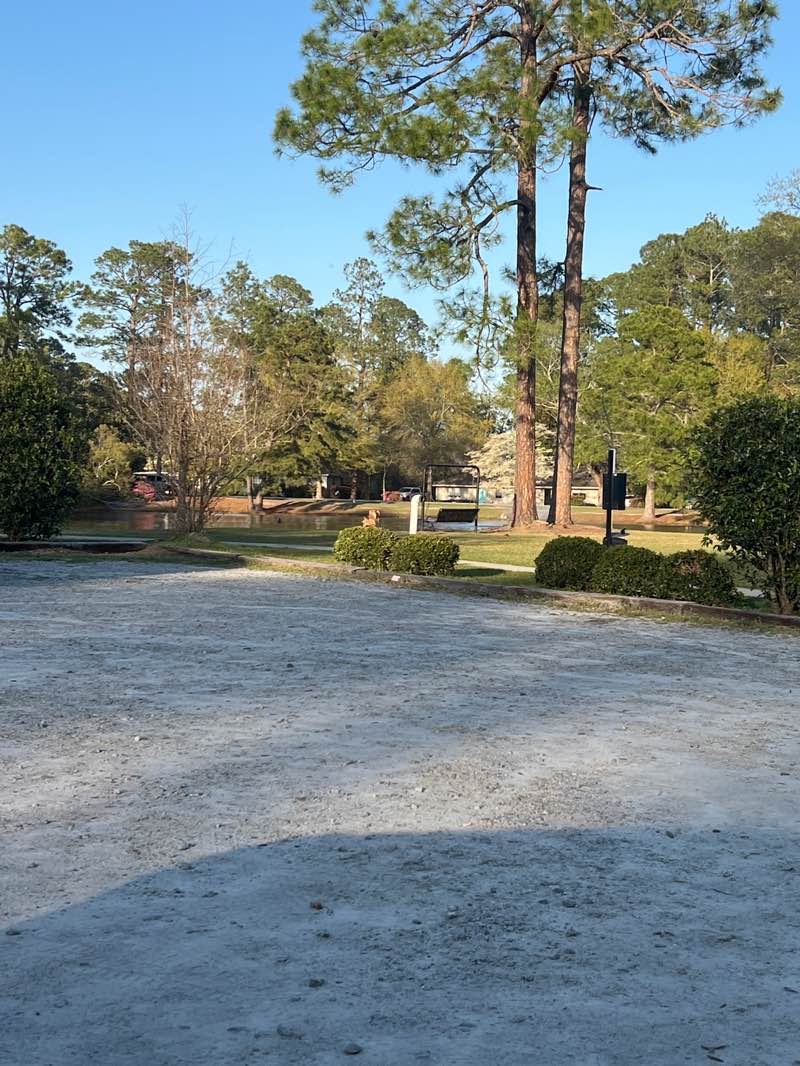 walking near me in Edgewood Acres Park in spring