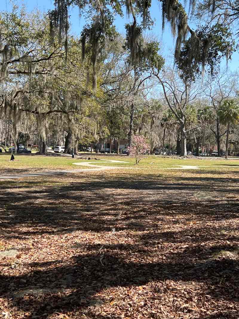 walking near me in Tiedeman Park in spring