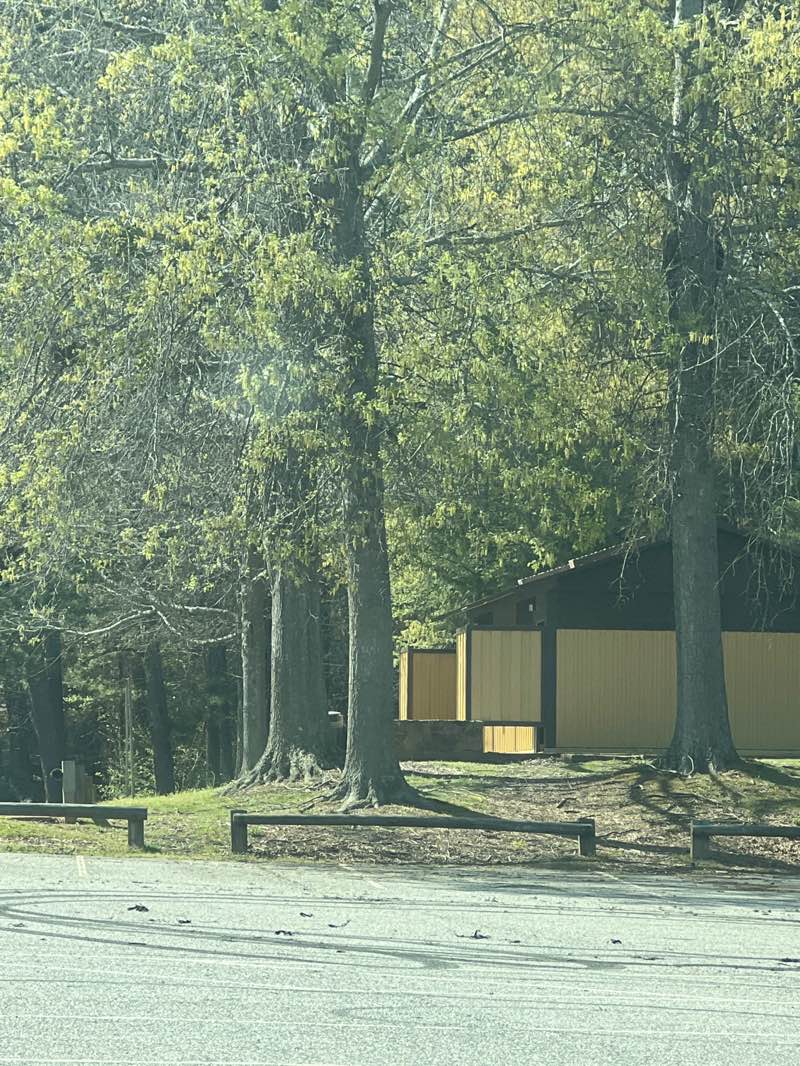 walking near me in Tidwell Park in spring