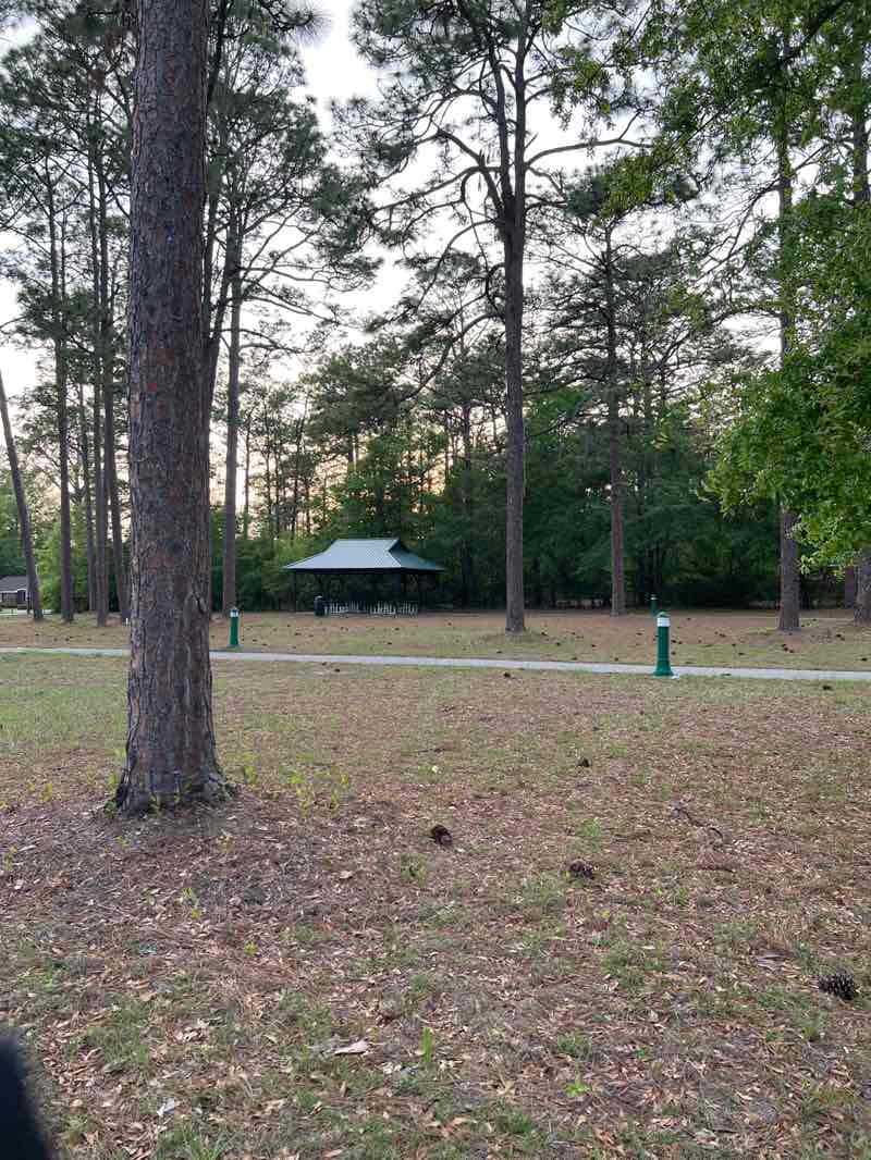 walking near me in Lightsey Park in spring