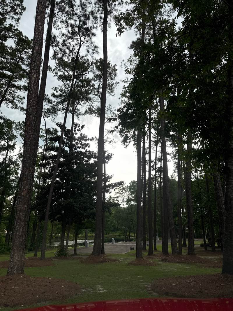 walking near me in Veterans Park in summer