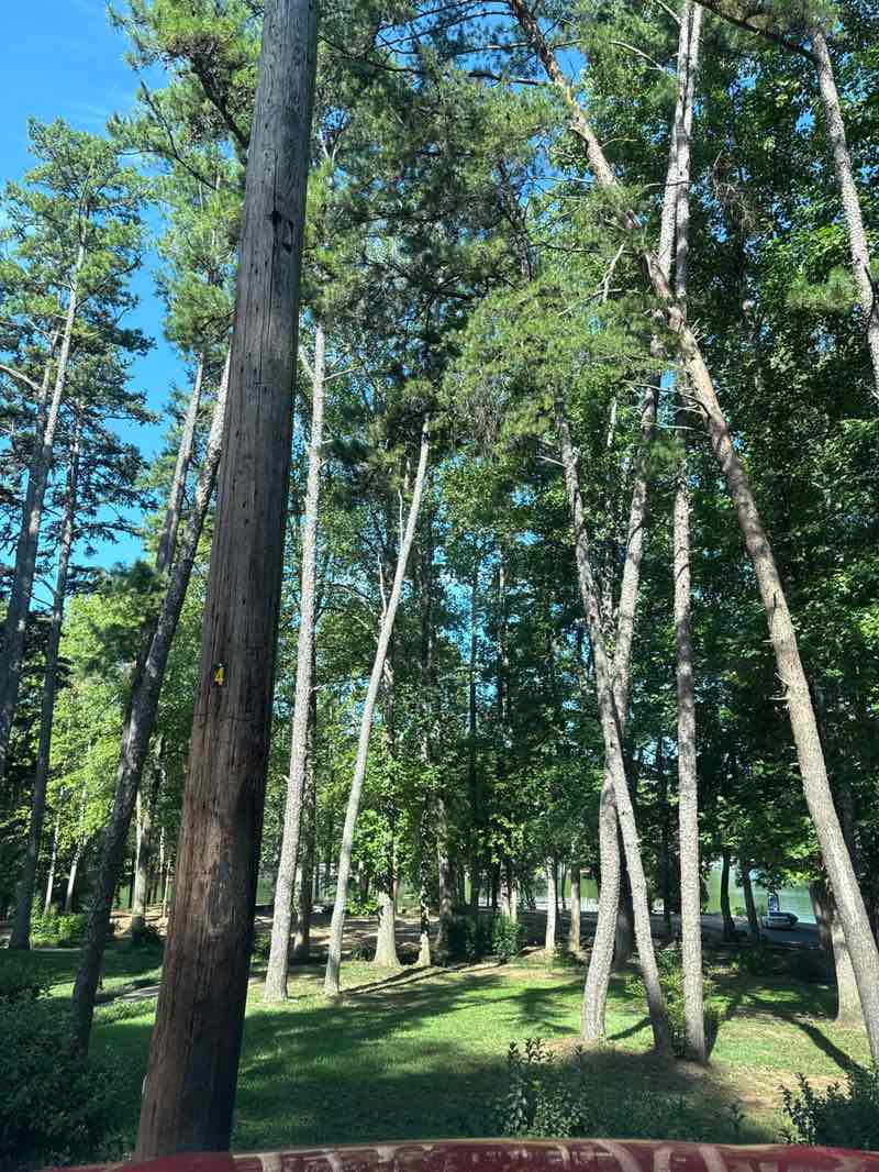 walking near me in Longwood Park in autumn