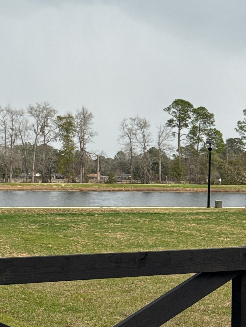 walking near me in Baker Park & Pond in winter