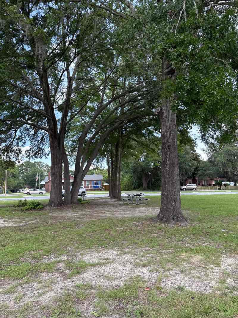 walking near me in Springfield City Park in summer