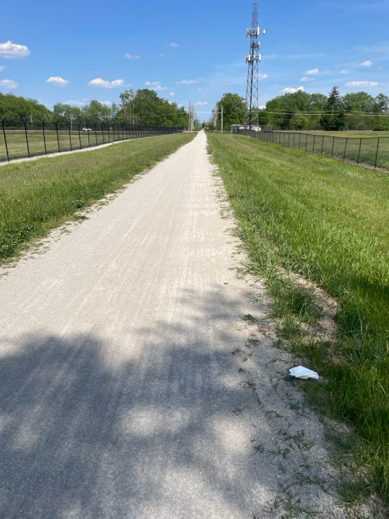 walking near me in Good Templar Park in summer
