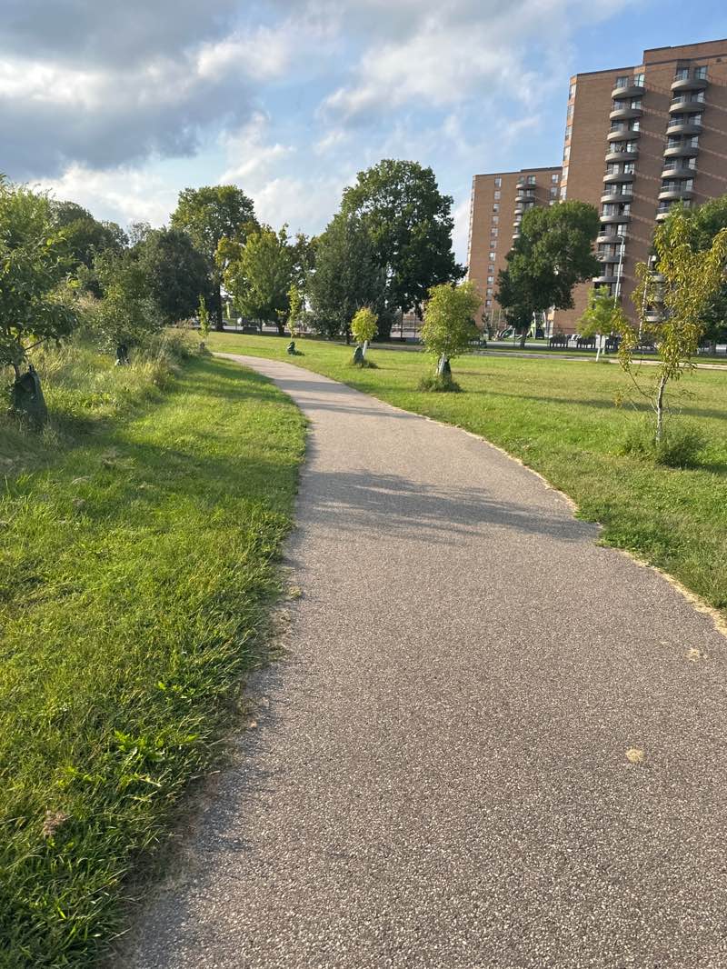 walking near me in Adams Hill Park in autumn